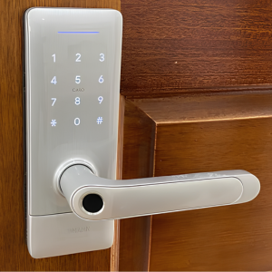 Khóa cửa vân tay Widmann F03-S Wifi (Silver)
