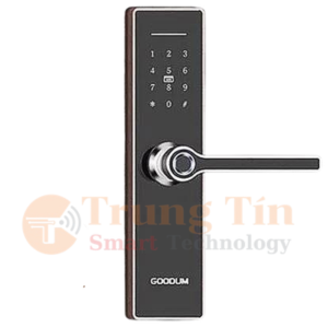 Khóa cửa điện tử Goodum H5800T